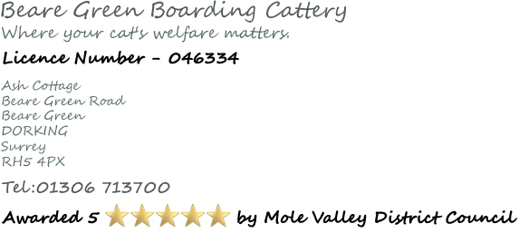 Where your cat's welfare matters